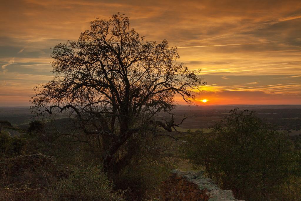 Monte Farropo Hotel Monsaraz Luaran gambar
